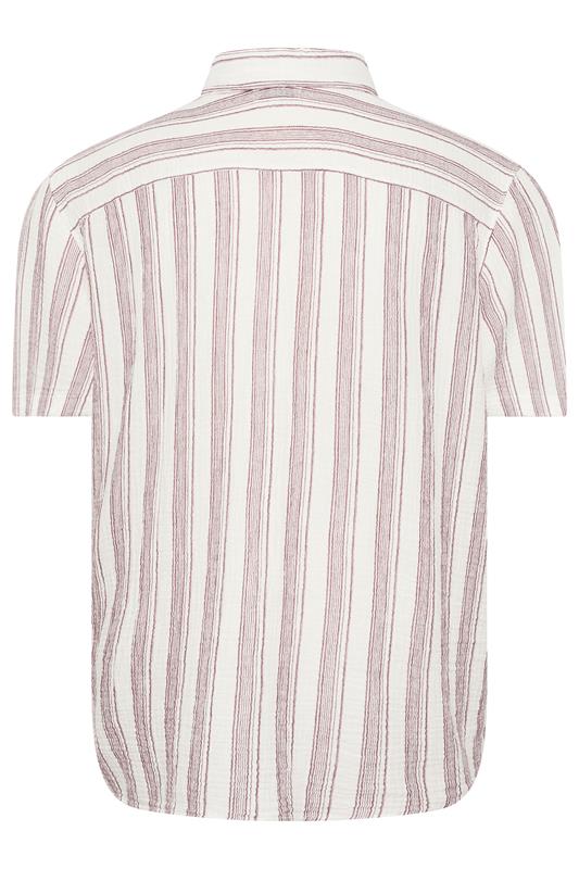 JACK & JONES Big & Tall Cabernet Red Striped Shirt | BadRhino 4