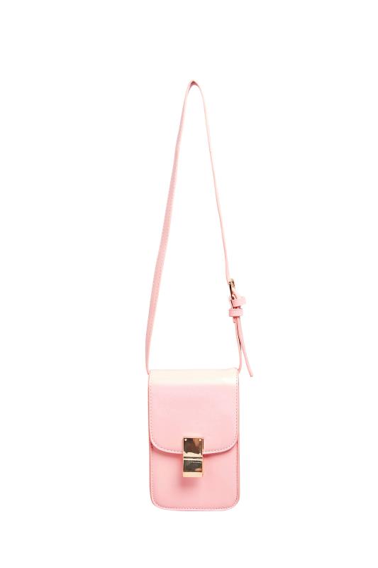 Pastel Pink Mini Clasp Detail Bag_AM.jpg