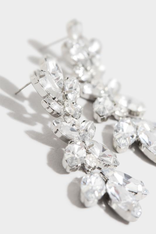 Silver Diamante Leaf Long Earrings_D.jpg