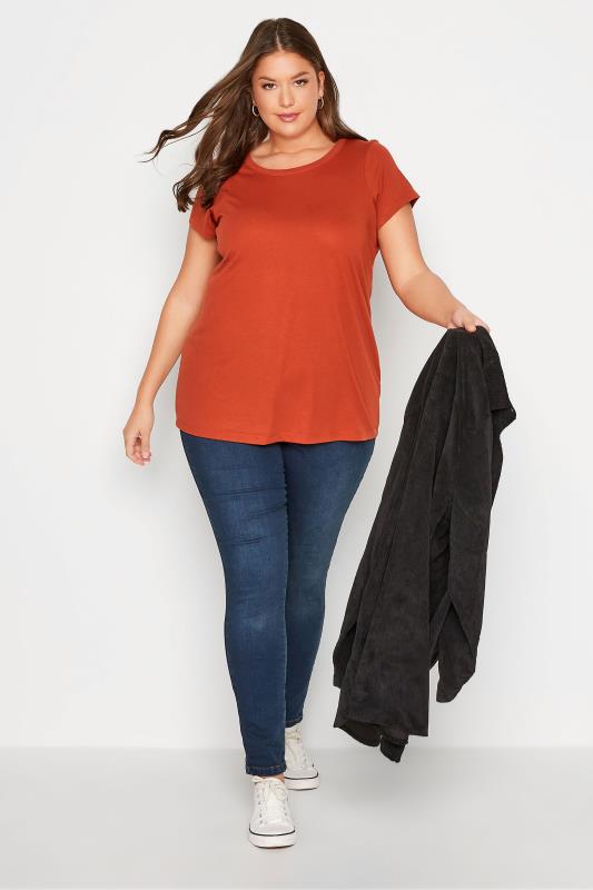 Plus Size Orange Short Sleeve T-Shirt | Yours Clothing  2