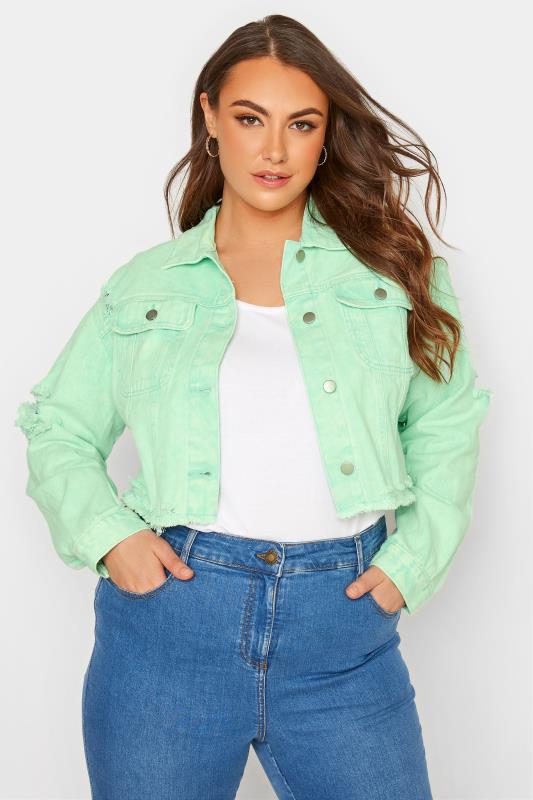 Plus Size  Curve Mint Green Cropped Distressed Denim Jacket