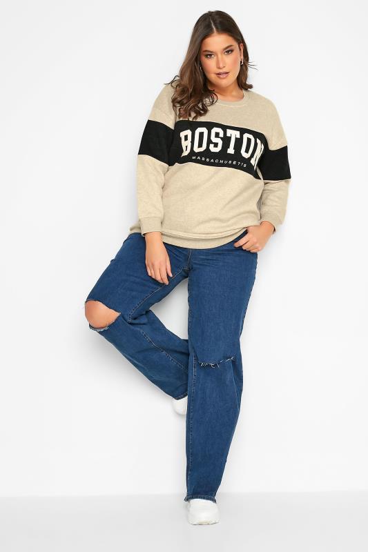 Plus Size Beige Brown 'Boston' Colour Block Sweatshirt | Yours Clothing 2