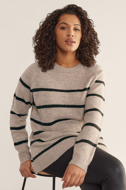 EVANS Plus Size Beige Brown Stripe Knitted Jumper | Evans 1