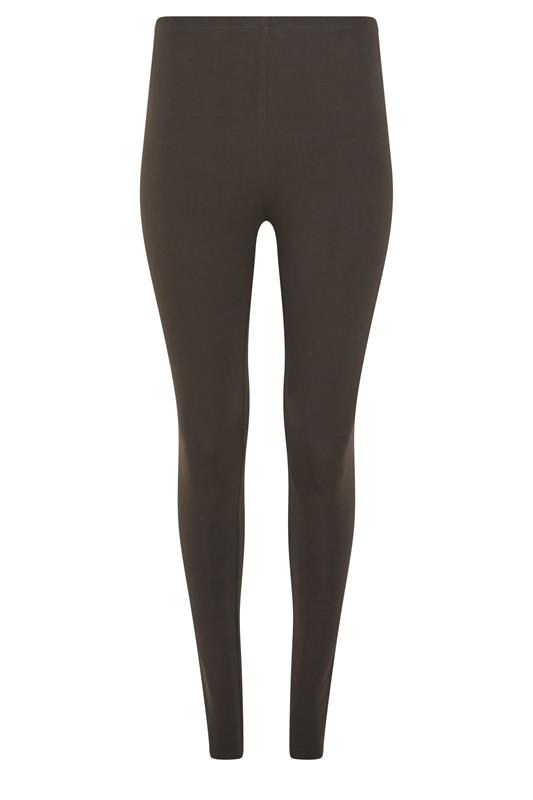  M&Co Chocolate Brown Stretch Leggings