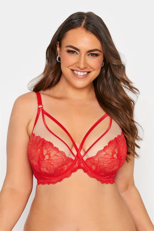Plus Size  Red Boudoir Lace Strap Detail Non-Padded Underwired Plunge Bra
