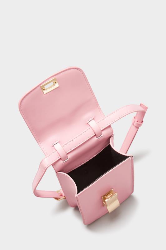Pastel Pink Mini Clasp Detail Bag_E.jpg