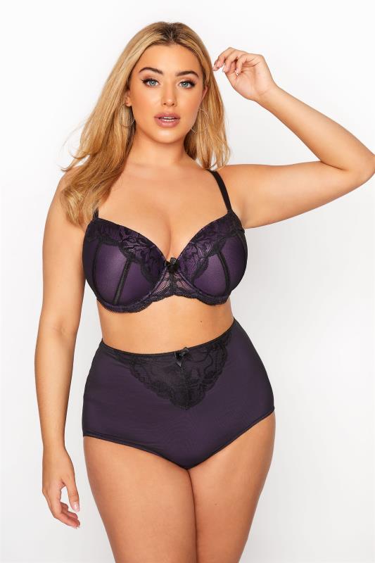 Plus Size  YOURS Curve Purple Lace Trim Mesh High Waisted Full Briefs