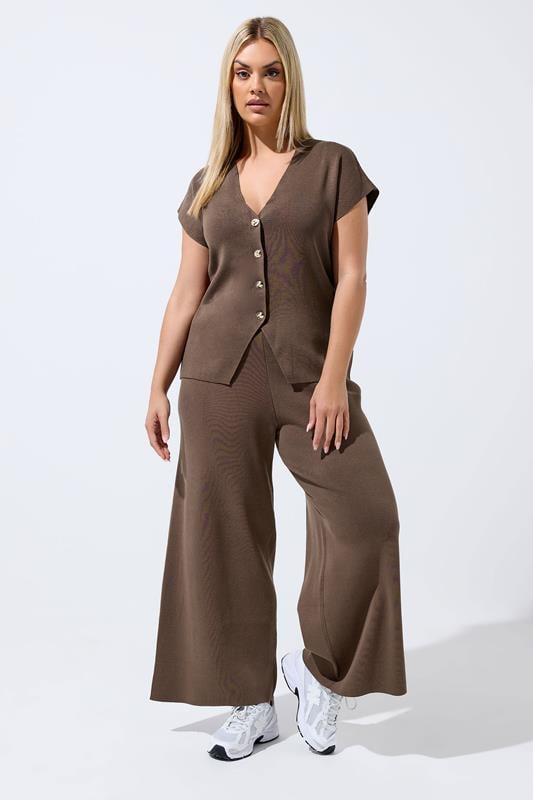 LIMITED COLLECTION Plus Size Chocolate Brown Short Sleeve Knitted Top  1