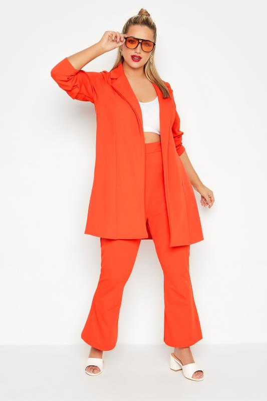 LIMITED COLLECTION Curve Bright Orange Flared Trousers_C.jpg
