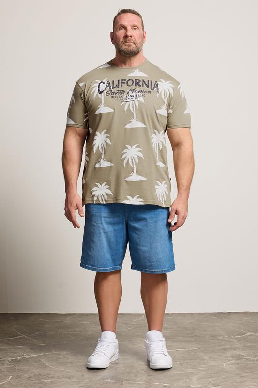 KAM Big & Tall Stone Brown Palm Print T-Shirt | BadRhino 1