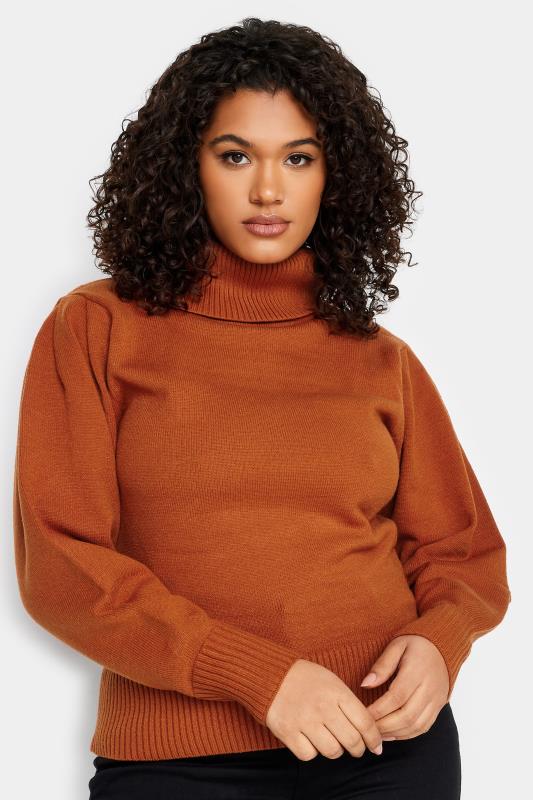 Plus Size  Evans Brown Soft Touch Roll Neck Jumper