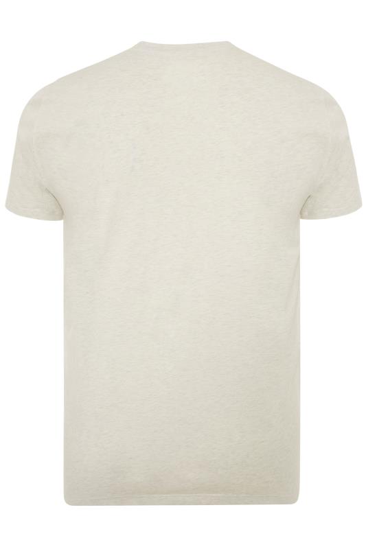 PENGUIN MUNSINGWEAR Big & Tall Grey Marl Colour Block T-Shirt_BK.jpg