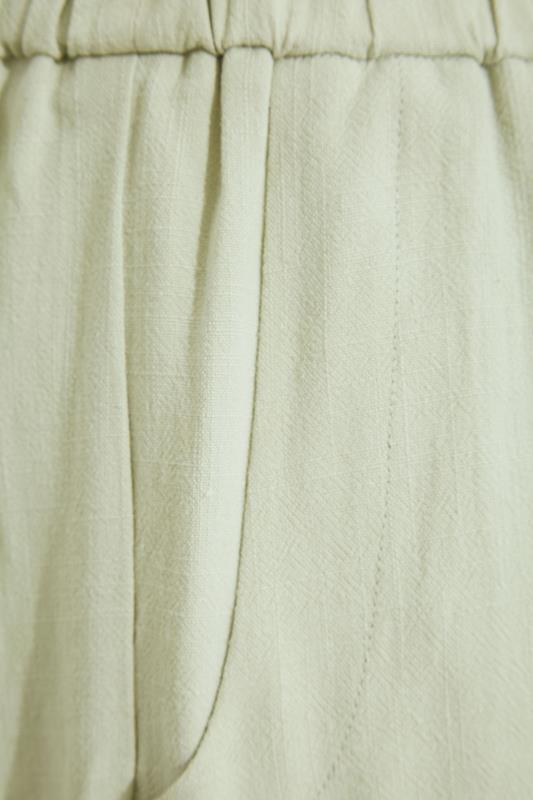Curve Light Green Linen Shorts_X.jpg