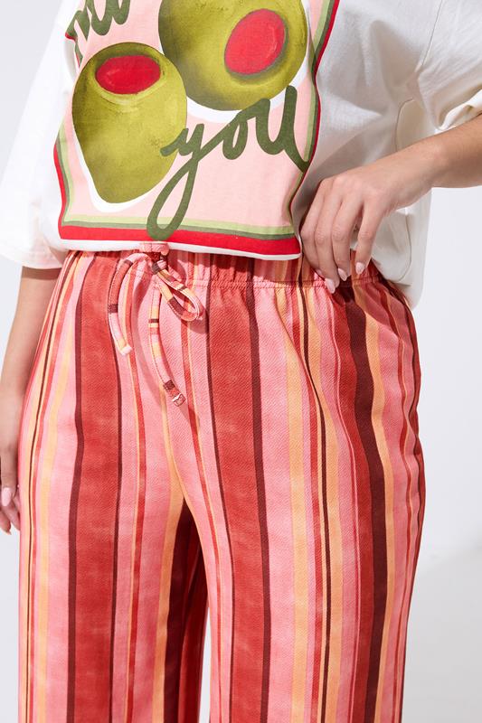 LIMITED COLLECTION Plus Size Red Striped Wide Leg Trousers | Yours Clothing 4