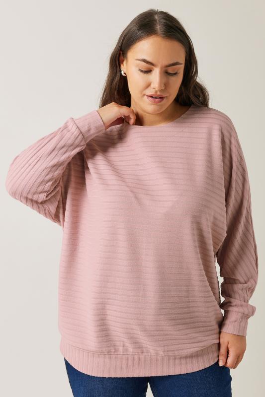 EVANS Plus Size Pink Ribbed Soft Touch Jumper | Evans 2