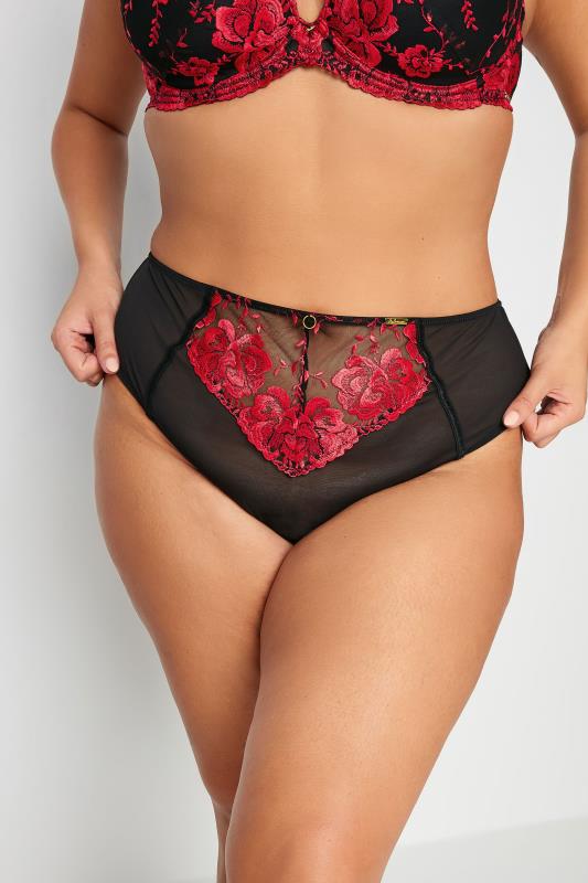 Plus Size  YOURS Curve Red Hallie Embroidered Brief