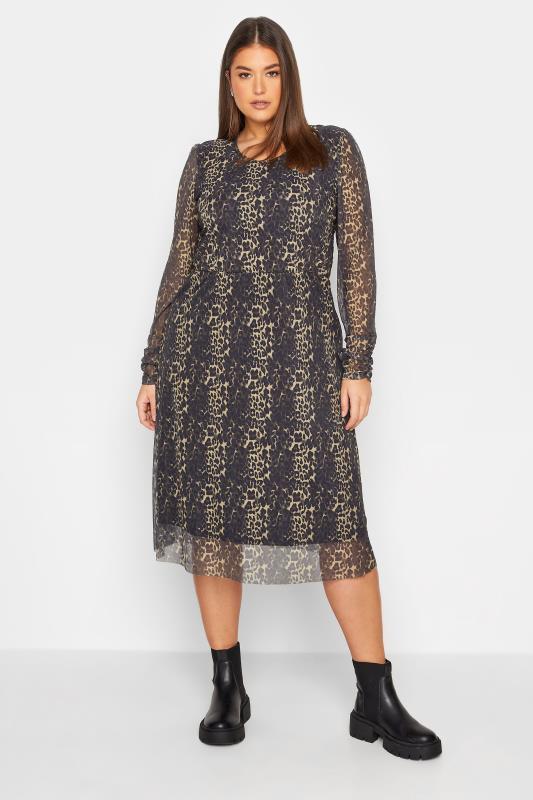  Grande Taille LTS Tall Brown Leopard Print Mesh Midi Dress