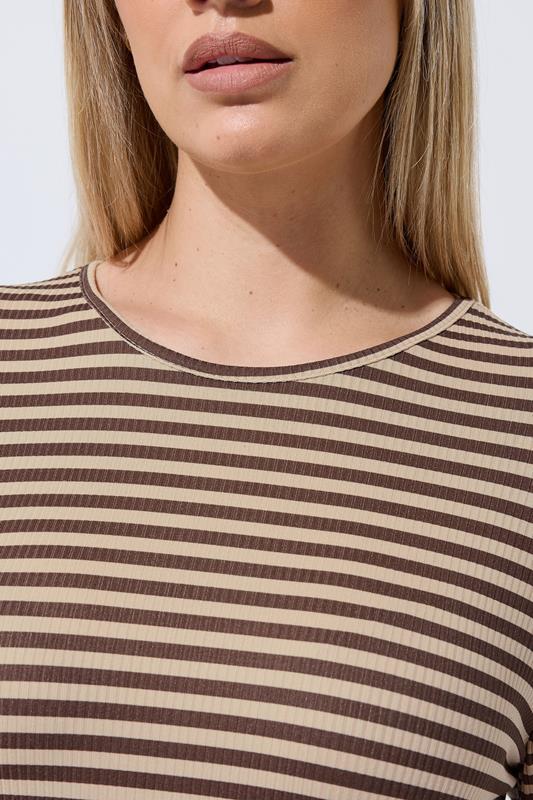 LIMITED COLLECTION Plus Size Chocolate Brown & Cream Stripe Top | Yours Clothing 4