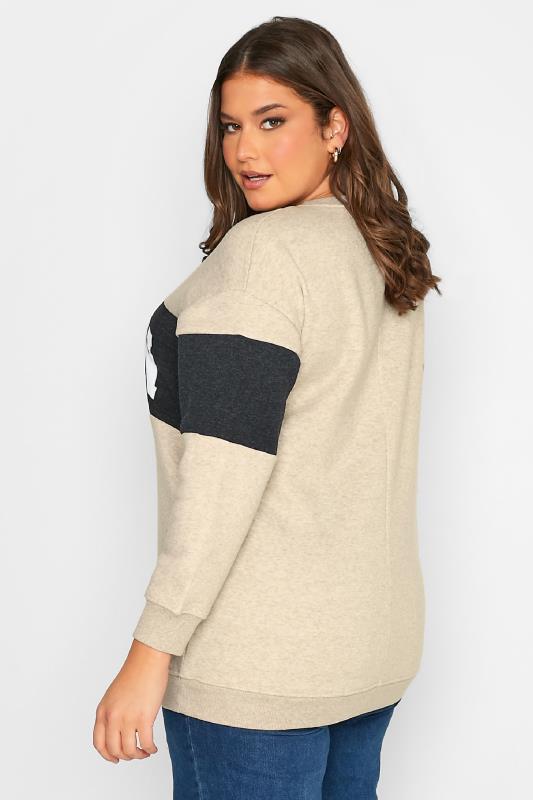 Plus Size Beige Brown 'Boston' Colour Block Sweatshirt | Yours Clothing 3