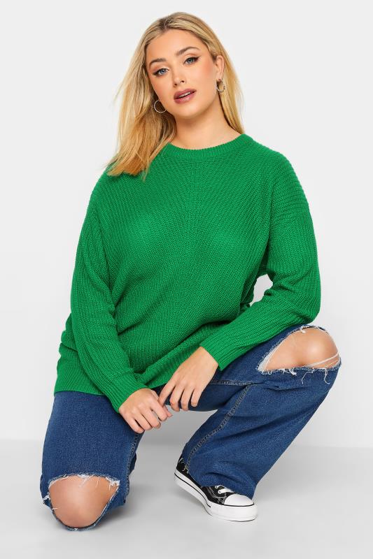 Plus Size Curve Apple Green Essential Knitted Jumper | Yours Clothing 1