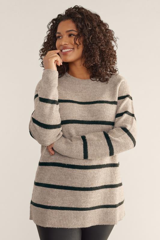 EVANS Plus Size Beige Brown Stripe Knitted Jumper | Evans 2