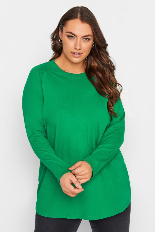Plus Size  Curve Green Cotton Raglan T-Shirt
