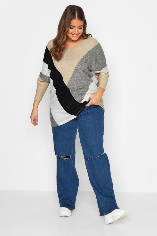 Plus Size Beige Brown Colour Block Soft Touch Jumper | Yours Clothing 2