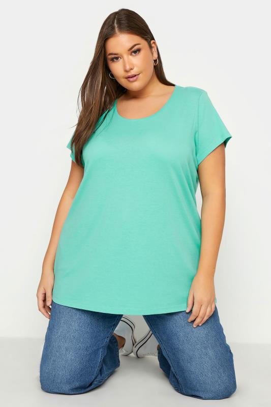 Plus Size  Blue Short Sleeve Basic T-Shirt
