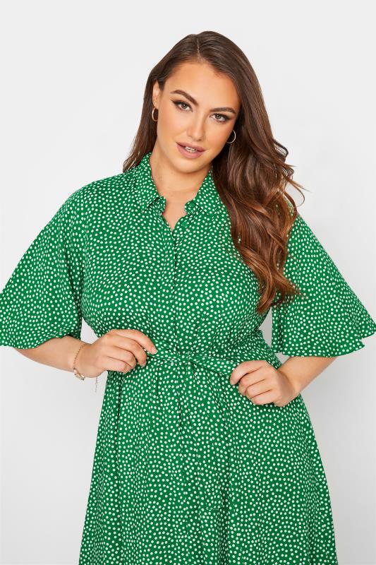 LIMITED COLLECTION Curve Green Polka Dot Shirt Dress 4