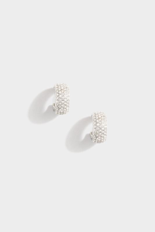 Silver Tone Diamante Hoop Earrings_153781.jpg