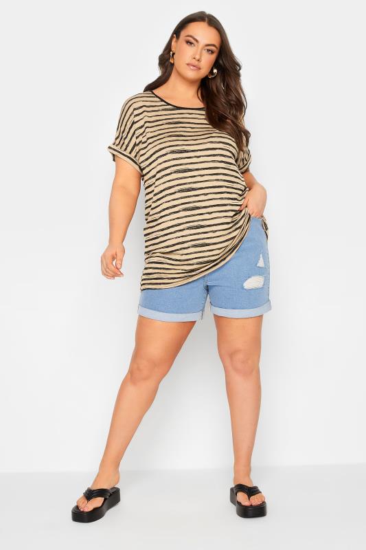 YOURS Plus Size Brown Stripe Print Dipped Hem T-Shirt | Yours Clothing 2