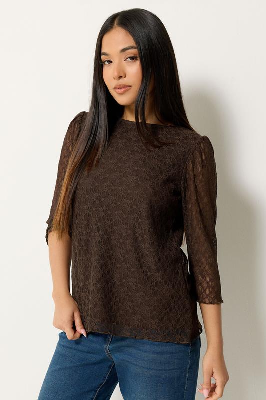 M&Co Petite Chocolate Brown Lace Top