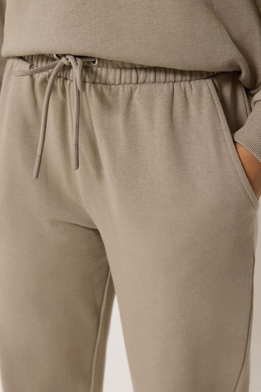 M&Co Petite Mocha Brown Cuffed Joggers | M&Co 4