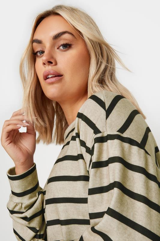 YOURS Plus Size Beige Brown Striped Jumper Dress | Yours Clothing 4