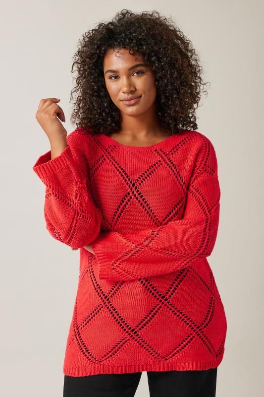  EVANS Curve Red Diamond Pointelle Jumper