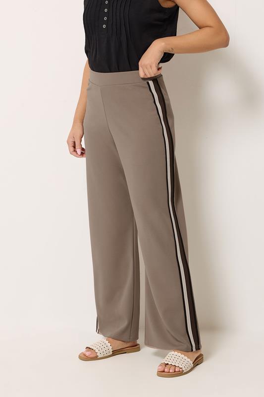  M&Co Petite Hose in Mokkabraun mit Seitenstreifen