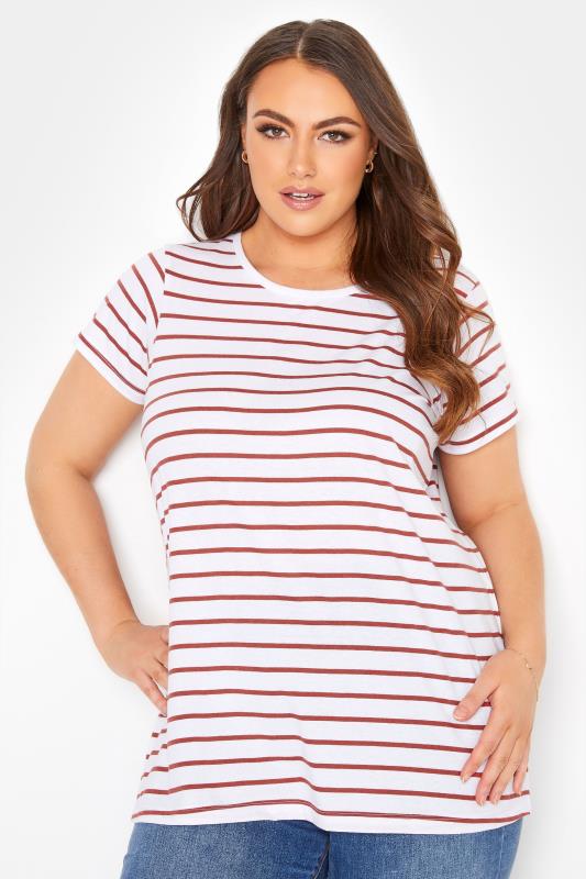 Curve White Stripe Short Sleeve T-Shirt_A.jpg