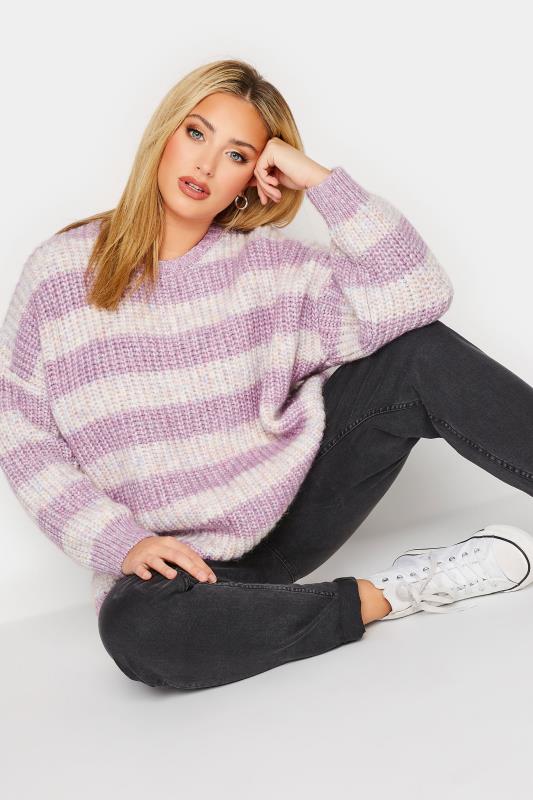 Plus Size Lilac Purple Stripe Marl Knitted Jumper | Yours Clothing 2