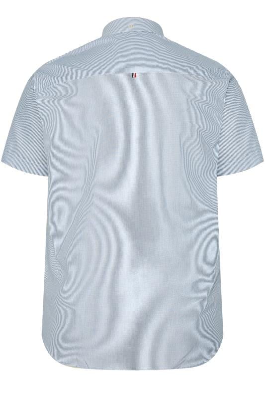BadRhino Blue Striped Oxford Shirt_892c.jpg