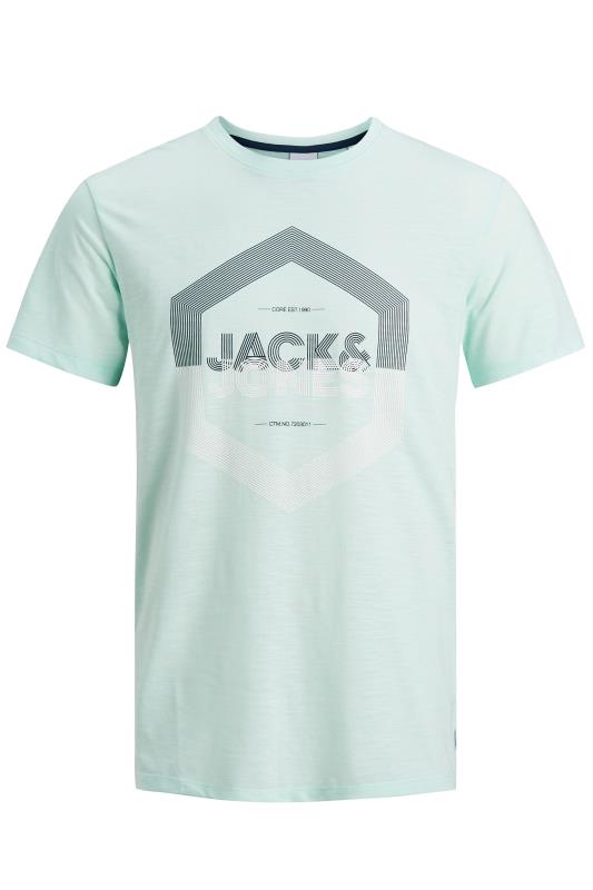 JACK & JONES Green Delight T-Shirt_F.jpg