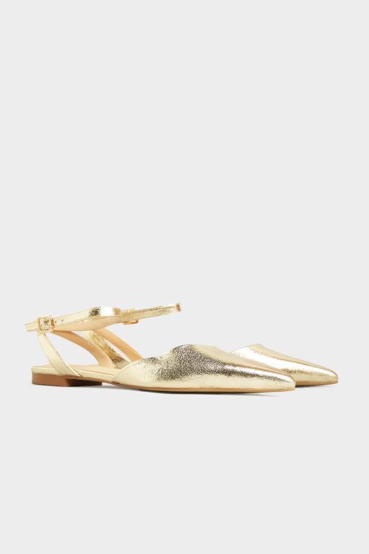 Tall  LTS Gold Two Part Point Shoes
