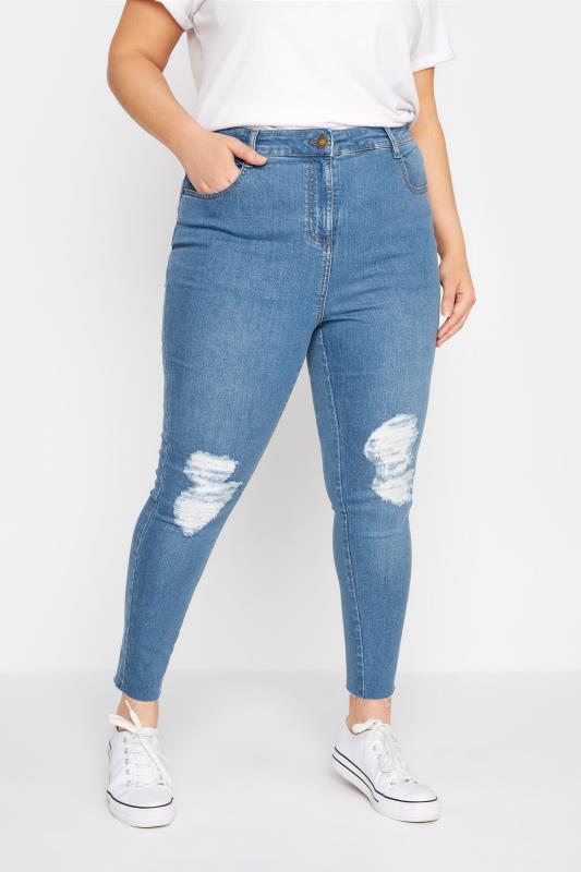 Plus Size Mid Blue Ripped Knee AVA Jeans | Yours Clothing 1