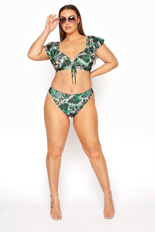Plus Size  LIMITED COLLECTION Green Palm High Leg Bikini Briefs