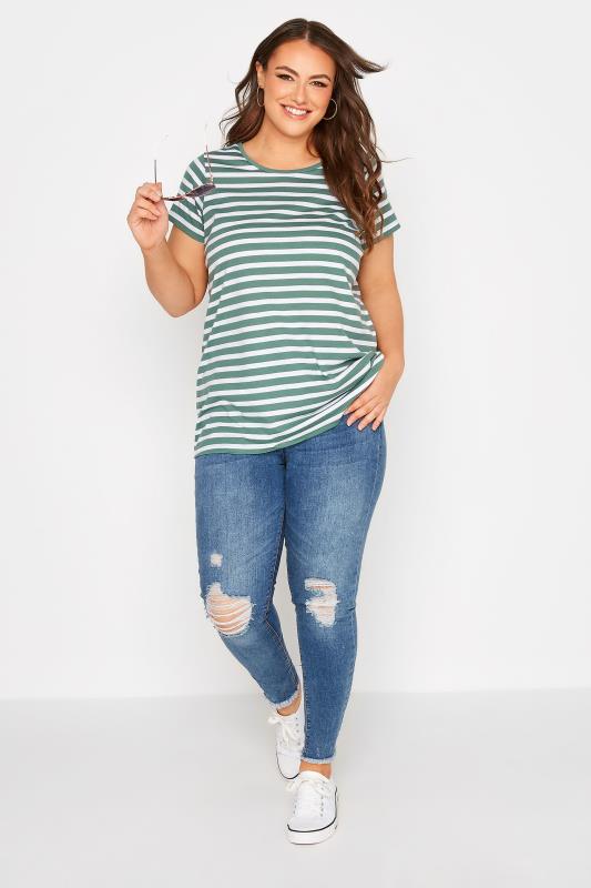 3 PACK Plus Size Sage Green & White & Stripe T-Shirts | Yours Clothing 3