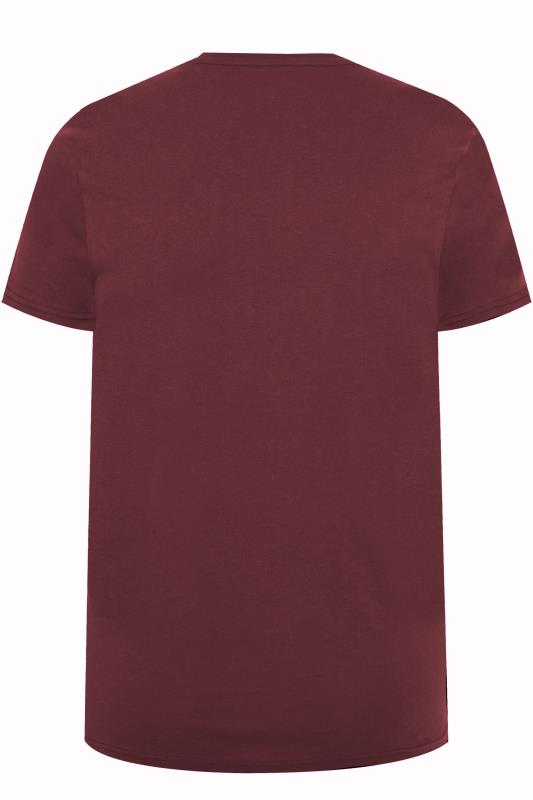 ALPHA INDUSTRIES Big & Tall Burgundy Red 2 Pack Logo T-Shirts_BK2.jpg