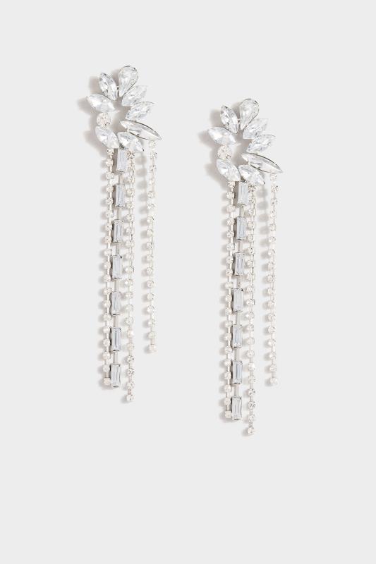 Silver Cluster Tassel Earrings | Yours Clothing  2