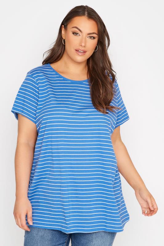 Curve Blue Stripe Short Sleeve T-Shirt 1