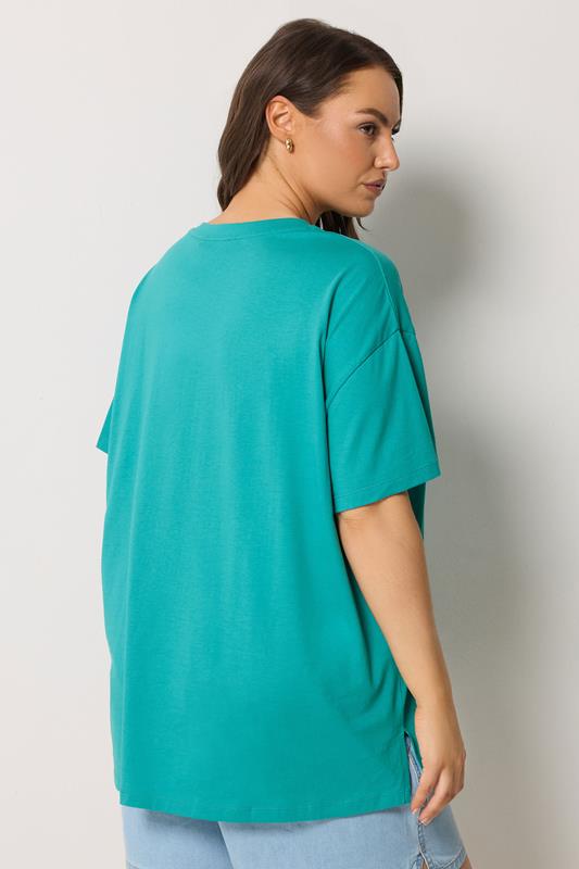YOURS Plus Size Turquoise Blue Embroidered Fruit T-Shirt | Yours Clothing 2