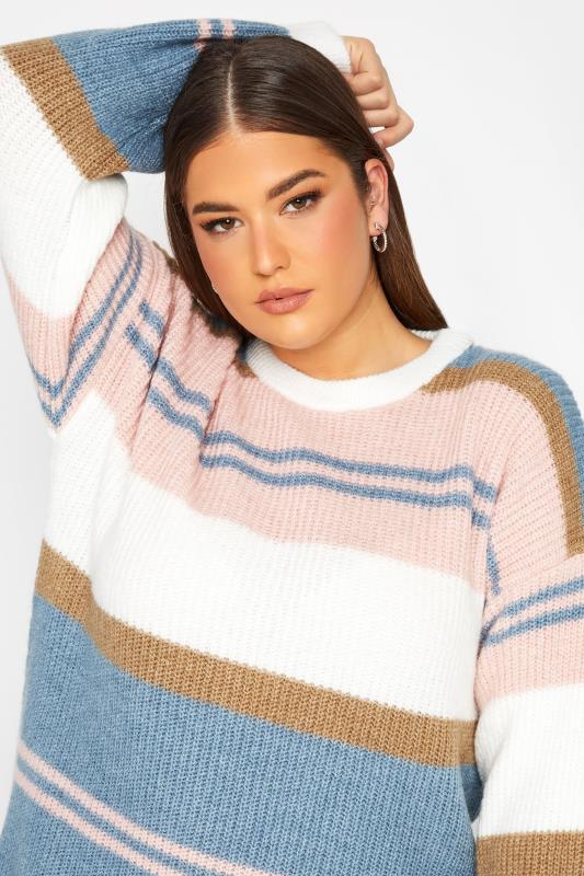 YOURS LUXURY Plus Size Blue & Pink Stripe Longline Jumper | Yours Clothing 4