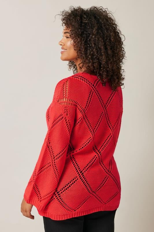 EVANS Plus Size Red Diamond Pointelle Jumper | Evans 3